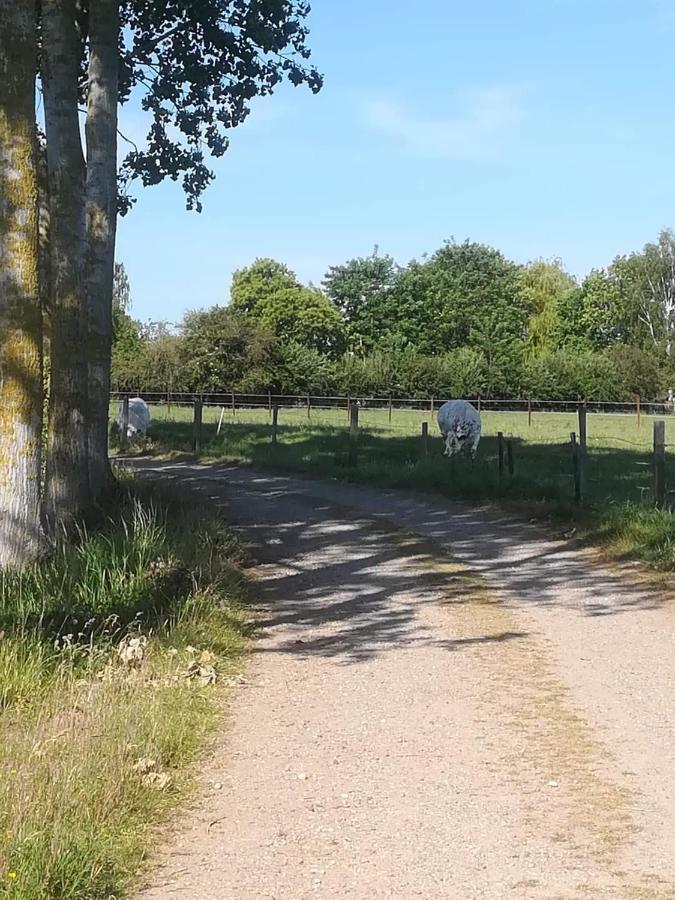 Vakantiewoning Upstairzzz Kortessem Zewnętrze zdjęcie