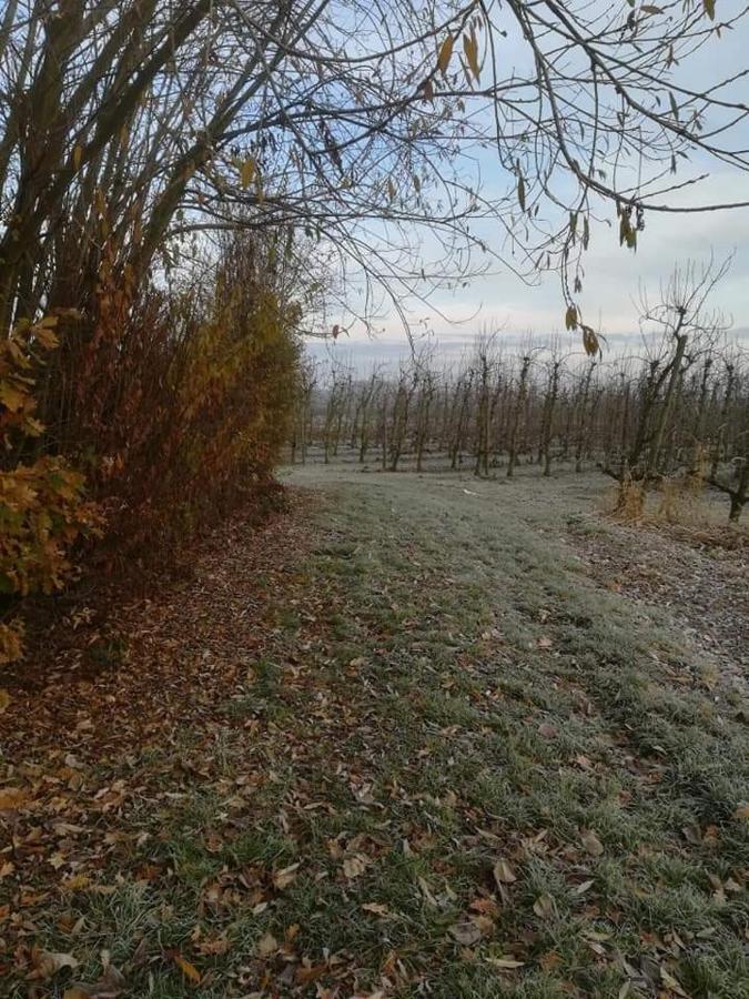 Vakantiewoning Upstairzzz Kortessem Zewnętrze zdjęcie