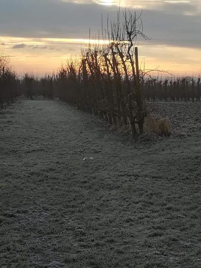 Vakantiewoning Upstairzzz Kortessem Zewnętrze zdjęcie